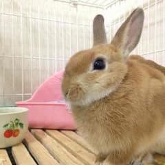 専用5のサムネイル