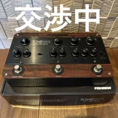【最終値下げ】フィッシュマン　TONED EQ DIのサムネイル