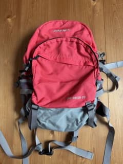 DAY HIKER 20 バックパック レッド/グレーのサムネイル