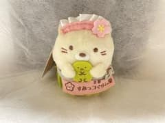 스미코구라시당 교토 시미즈자카점 한정 부라사게 봉제인형 고양이