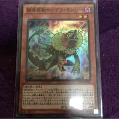 koto様専用のサムネイル