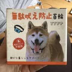 犬 無駄吠え防止 首輪 わんちゃんのサムネイル