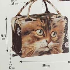 あちゃちゅむ  新品のサムネイル