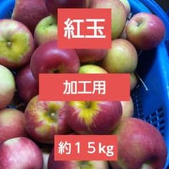 9/20 特価☆新鮮　紅玉　青実加工用　酸っぱい　約１５kg　総重量のサムネイル
