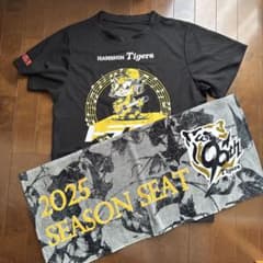 お値下げしました！阪神タイガース　非売品　Tシャツとタオルのサムネイル