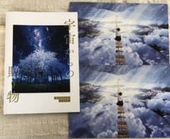 mocha展カタログ　(宇宙からの贈り物)のサムネイル