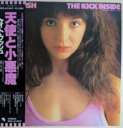 ケイト・ブッシュ 『天使と小悪魔』 LPレコード　帯付きのサムネイル
