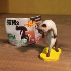 猫背2  シャム 親猫のサムネイル