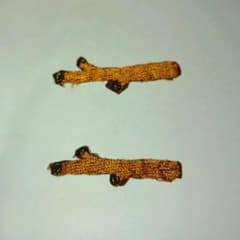 ボーイスカウト（ビーバースカウト）小枝章のサムネイル