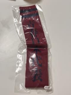 新しい学校のリーダーズ 青春日本代表靴下（赤）23〜25cmのサムネイル