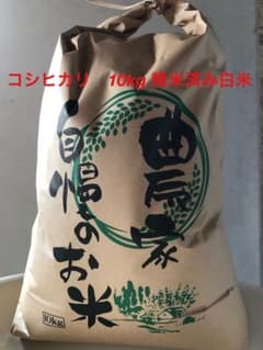 令和7年夏収穫分コシヒカリ10kg精米済み白米 三重県生産者直送 分付き