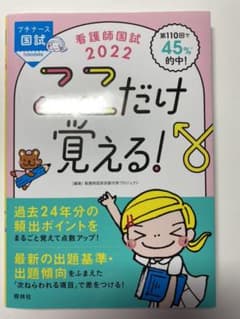 看護師国試 2021 ここだけ覚える!のサムネイル