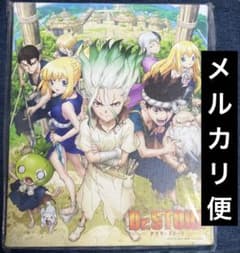 希少　レア　Dr.stone プリンセスカフェ　店舗限定　キャンバスボード　千空 希少 レア Dr.stone プリンセスカフェ 店舗限定 キャンバスボード 千空