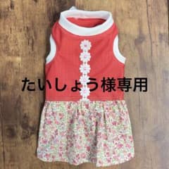 たいしょう様専用　ハンドメイド　専用のサムネイル