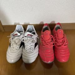 モレリア2JAPAN  モレリアネオ4のサムネイル