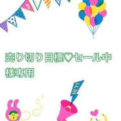 売り切り目標♡セール中様専用のサムネイル