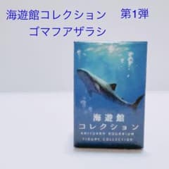 海遊館コレクション 第1弾のサムネイル