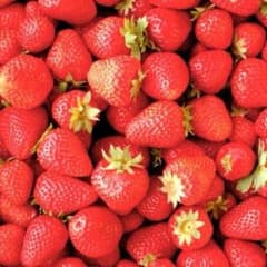 らぶちゃん様専用のサムネイル