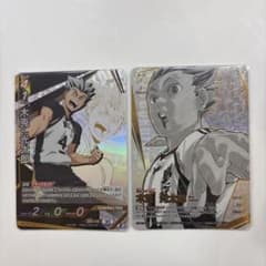 バボカ ハイキュー!! 木兎光太郎 頂P　、　頂のサムネイル