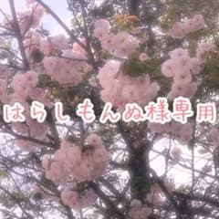 丸い小さな？お守り袋－はらしもんぬ様専用－のサムネイル