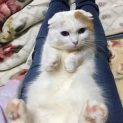 りょうたろう様専用のサムネイル