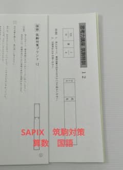 筑駒対策】SAPIX 筑駒特訓 算数 国語 - メルカリ