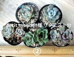 petit monde*様 リクエスト 2点 まとめ商品のサムネイル