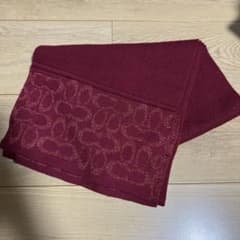 카피바라씨 요청 2점 정리 상품