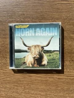 the pillows HORN AGAINのサムネイル