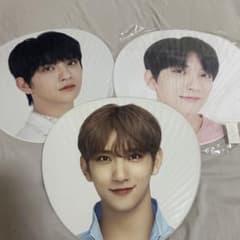 SEVENTEEN ジョシュア うちわ まとめ売り - メルカリ