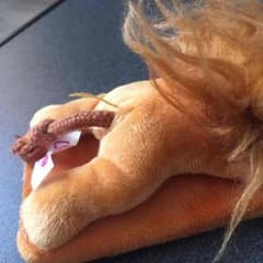 確認用のサムネイル