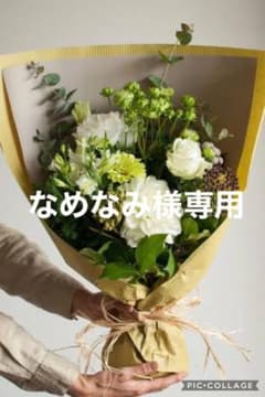 J ILL STUARTのサムネイル