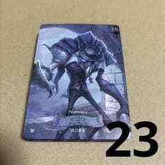 제5인격 IdentityV 트레이딩 카드 트레카 중국 통상판 악몽