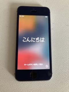 iphone se 제1세대 32GB 정크 도치기 가죽 hukuro 케이스