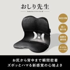 ヒツジのいらない枕 おしり先生 姿勢サポートチェア 姿勢矯正 ヒツジのいらない枕 おしり先生 姿勢サポートチェア 耐荷重100kg