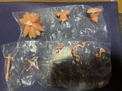 おジャ魔女どれみ　カプセルトルソー　はづきのサムネイル