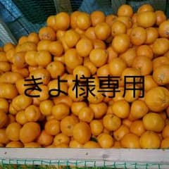 きよ様専用  上ノ太子みかん園のみかんのサムネイル