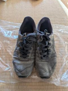 【ジャンク】オニツカタイガー　TigerAlly　28cmのサムネイル