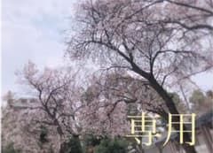 専用ページ✧のサムネイル