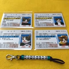 なめ猫　免許証　ゴールドカード　4枚　NO.4のサムネイル