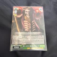 ヴァイスシュヴァルツ 借しみない助力 アインズ