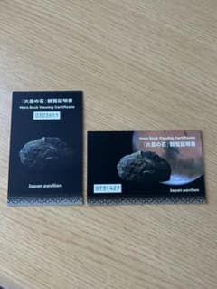 【セール中】EXPO 2025日本館VIP限定バッジ　火星の石観覧証明書セット EXPO 2025 日本館 VIP限定 ピンバッジ 火星の石観覧証明書セット 日本