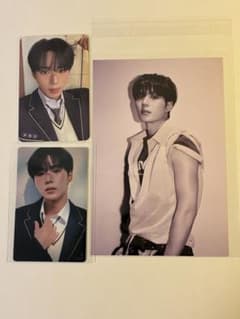 ALD1 ジュンソ トレカ EUPHORIA封入 - メルカリ