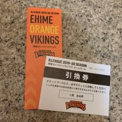 愛媛オレンジバイキングス　ホームゲームチケットのサムネイル