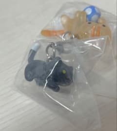 고양이 2메지루시 액세서리 오도씨 챠토라씨