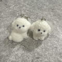 もこぷわわんちゃん めじるしアクセサリーのサムネイル