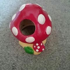 ハムスターのお家のサムネイル