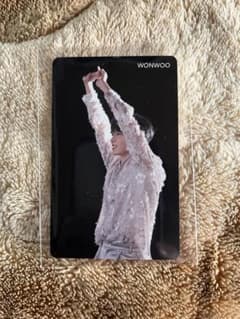 SEVENTEEN ウォヌ 舞い落ちる花びら HMV 特典 トレカ - メルカリ