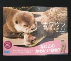 カワウソのサムネイル