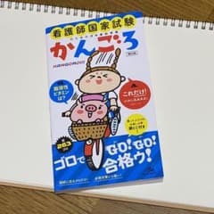 看護師国家試験のためのゴロあわせ集 かんごろのサムネイル